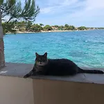 Mimy